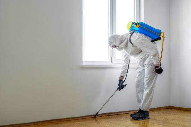 Best Pest Removal Services  in Quarryville, PA