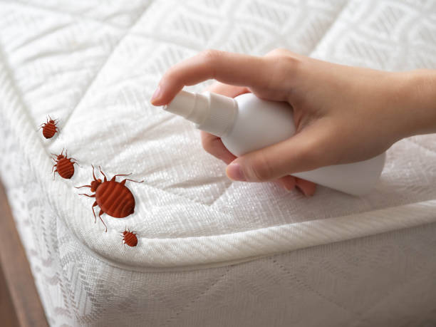 Best Commercial Pest Control Services  in Quarryville, PA