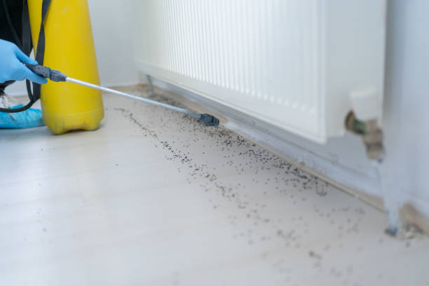 Reliable Quarryville, PA Pest Control Solutions